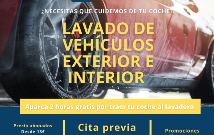 Lavado de coches servicio